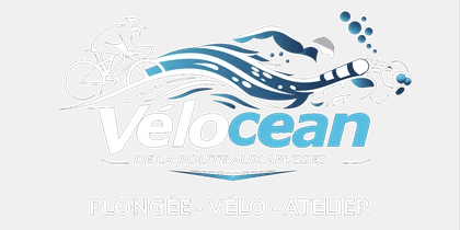 Vélocean — plongée, vélo, atelier